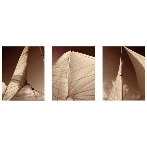 Windward Sails Triptych Black Modern Wood Framed Art Print by Hausenflock, Alan