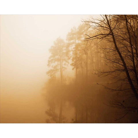 Fog on Shelly Lake I Black Modern Wood Framed Art Print with Double Matting by Hausenflock, Alan