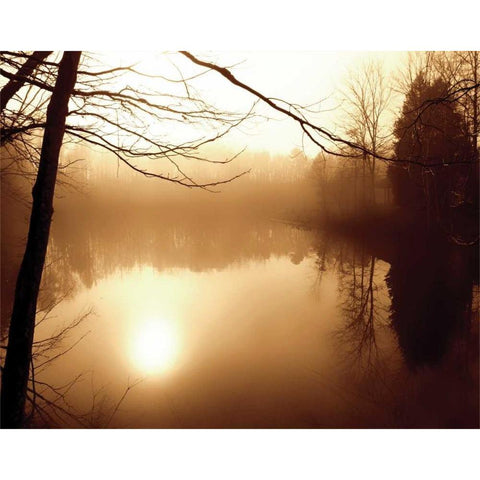 Fog on Shelly Lake II White Modern Wood Framed Art Print by Hausenflock, Alan