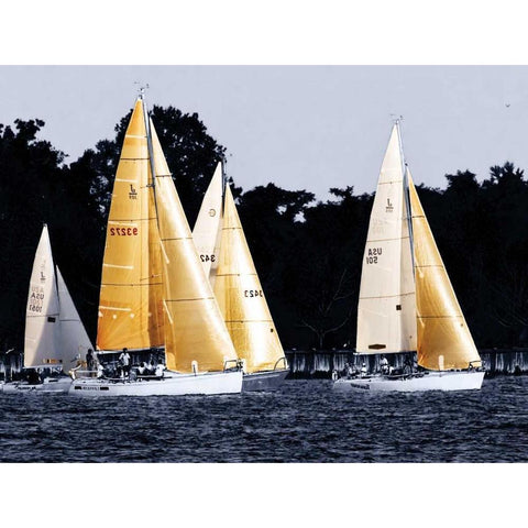 Race at Annapolis II White Modern Wood Framed Art Print by Hausenflock, Alan