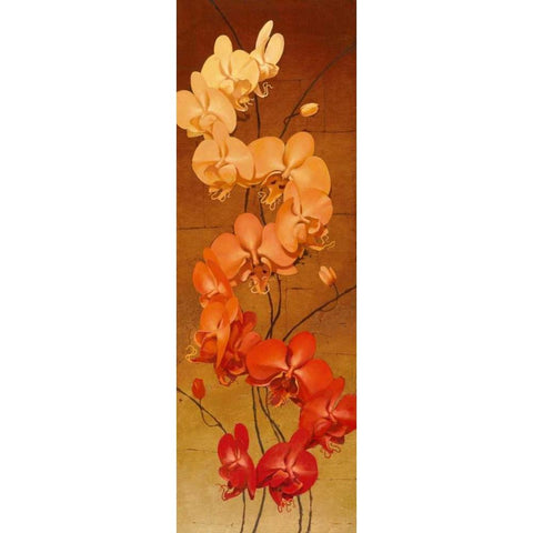 Golden Orchids II Black Modern Wood Framed Art Print by Catlett, Kenneth