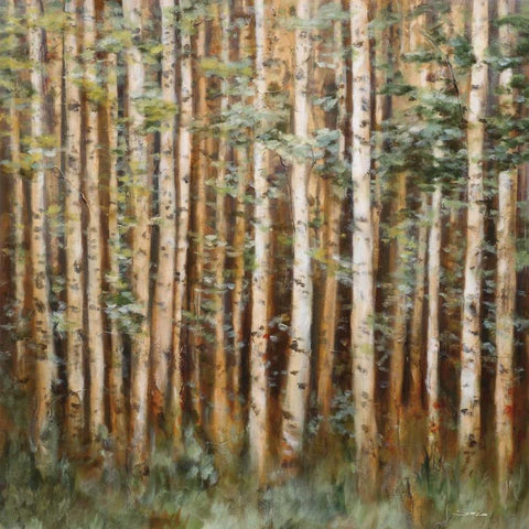 Aspen Beauty I Gold Ornate Wood Framed Art Print with Double Matting by Lee, Scott