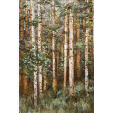 Aspen Beauty II Gold Ornate Wood Framed Art Print with Double Matting by Lee, Scott