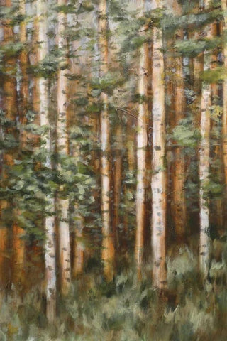 Aspen Beauty II Black Ornate Wood Framed Art Print with Double Matting by Lee, Scott