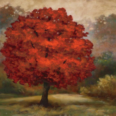 Tree Cast I Gold Ornate Wood Framed Art Print with Double Matting by Lee, Scott