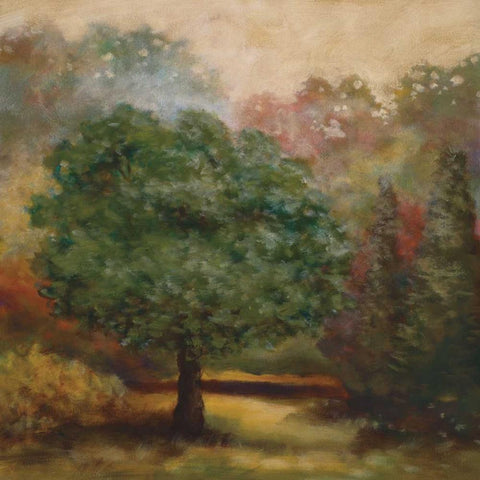 Tree Cast II Gold Ornate Wood Framed Art Print with Double Matting by Lee, Scott