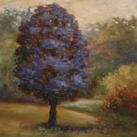 Tree Cast III Gold Ornate Wood Framed Art Print with Double Matting by Lee, Scott