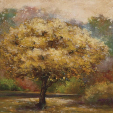 Tree Cast IV Gold Ornate Wood Framed Art Print with Double Matting by Lee, Scott