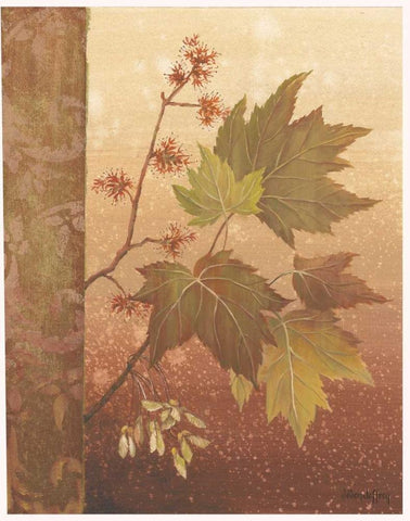 Maple Leaves Black Ornate Wood Framed Art Print with Double Matting by Jeffrey, Jillian