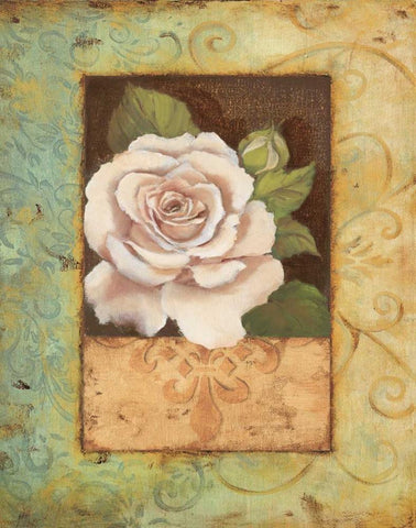 Antique Rose I White Modern Wood Framed Art Print with Double Matting by Jeffrey, Jillian