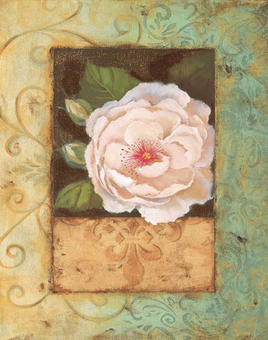 Antique Rose II White Modern Wood Framed Art Print with Double Matting by Jeffrey, Jillian