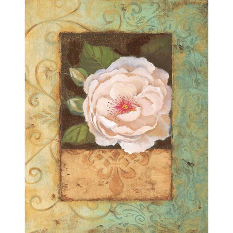 Antique Rose II Black Modern Wood Framed Art Print with Double Matting by Jeffrey, Jillian