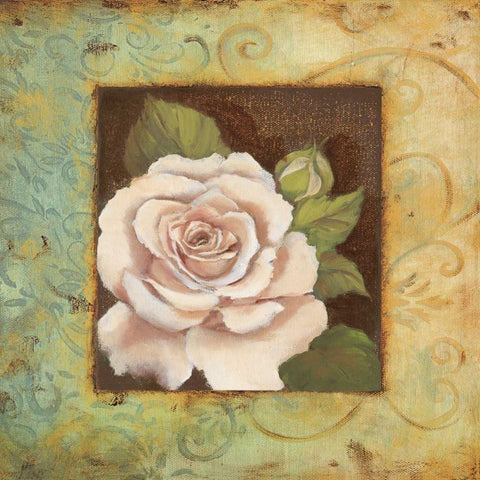 Antique Rose III White Modern Wood Framed Art Print with Double Matting by Jeffrey, Jillian