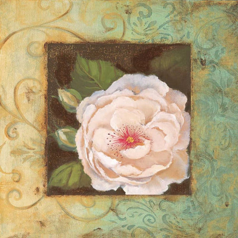 Antique Rose IV Black Modern Wood Framed Art Print with Double Matting by Jeffrey, Jillian