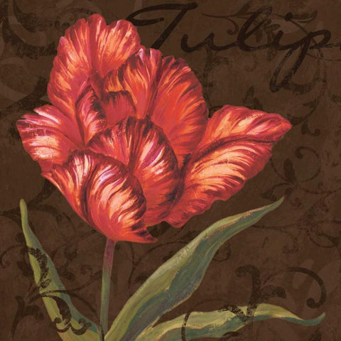Tulipa I Gold Ornate Wood Framed Art Print with Double Matting by Jeffrey, Jillian