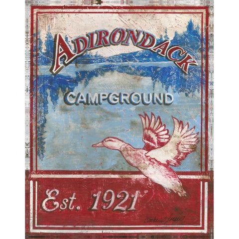 Adirondack Camp Gold Ornate Wood Framed Art Print with Double Matting by Jones, Catherine