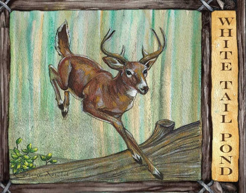 Lodge Deer White Modern Wood Framed Art Print with Double Matting by Knold, Donna