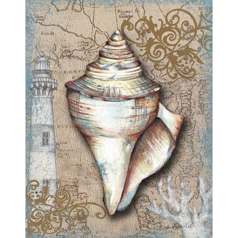 Nautical Treasures I White Modern Wood Framed Art Print by Knold, Donna