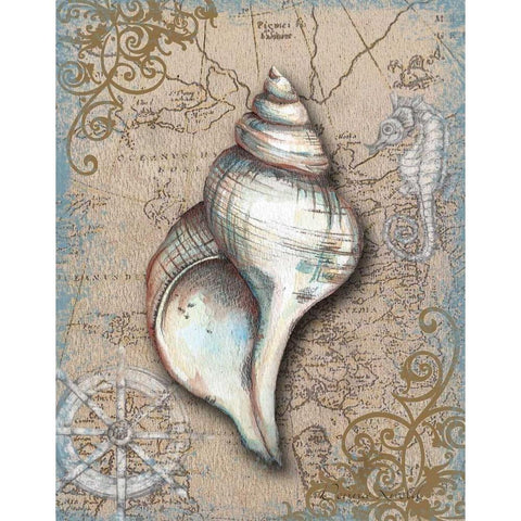 Nautical Treasures II White Modern Wood Framed Art Print by Knold, Donna