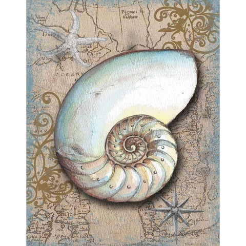 Nautical Treasures III White Modern Wood Framed Art Print by Knold, Donna