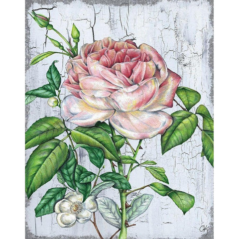 Rose Gold Ornate Wood Framed Art Print with Double Matting by K, Onna