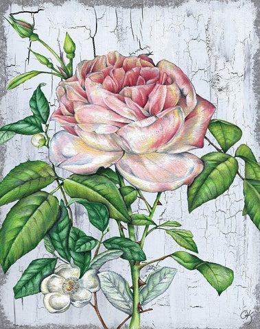 Rose White Modern Wood Framed Art Print with Double Matting by K, Onna