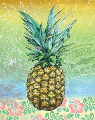 Summer Splash Pineapple Black Ornate Wood Framed Art Print with Double Matting by K, Onna