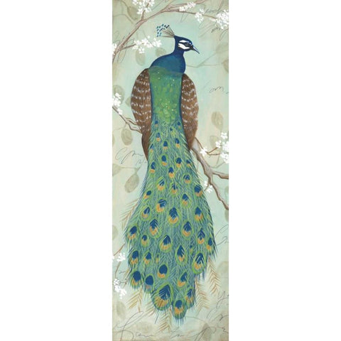 Peacock I White Modern Wood Framed Art Print by Leal, Steve