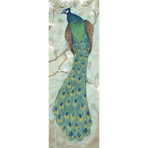 Peacock II White Modern Wood Framed Art Print by Leal, Steve