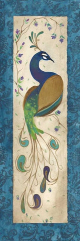 Peacock III White Modern Wood Framed Art Print with Double Matting by Leal, Steve