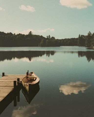 Plenitude I Black Ornate Wood Framed Art Print with Double Matting by Lestage, Suzanne