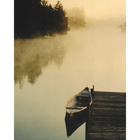 Plenitude II Black Modern Wood Framed Art Print by Lestage, Suzanne