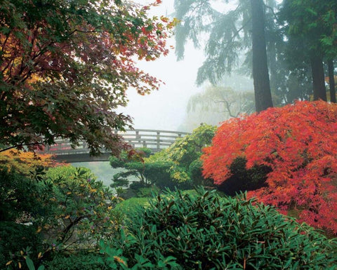 Japanese Garden II Black Ornate Wood Framed Art Print with Double Matting by Love, Maureen