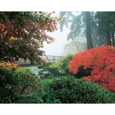 Japanese Garden II White Modern Wood Framed Art Print by Love, Maureen