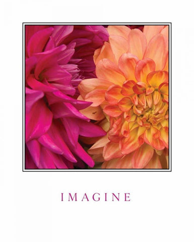 Imagine Flowers Black Ornate Wood Framed Art Print with Double Matting by Love, Maureen