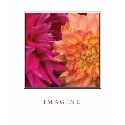 Imagine Flowers White Modern Wood Framed Art Print by Love, Maureen