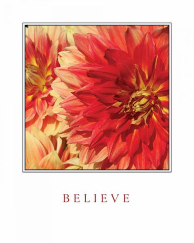 Believe Flowers Black Ornate Wood Framed Art Print with Double Matting by Love, Maureen