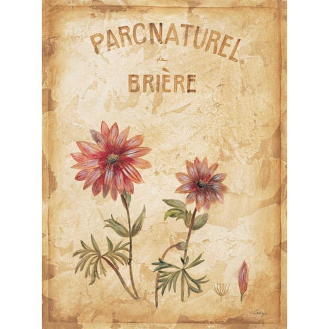 Parcnaturel I Gold Ornate Wood Framed Art Print with Double Matting by Linza, Loretta