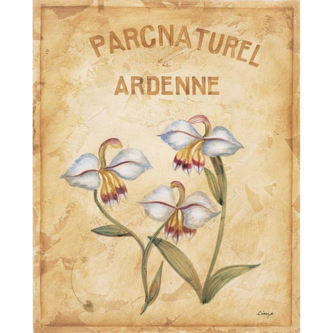 Parcnaturel II White Modern Wood Framed Art Print by Linza, Loretta