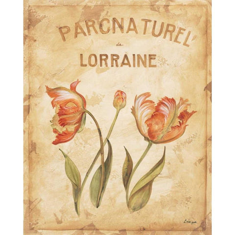 Parcnaturel III Gold Ornate Wood Framed Art Print with Double Matting by Linza, Loretta