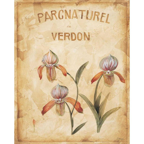 Parcnaturel IV Gold Ornate Wood Framed Art Print with Double Matting by Linza, Loretta