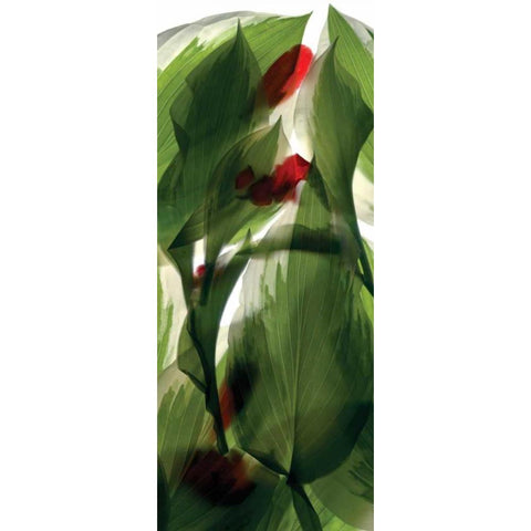 Hosta Begonia Window Black Modern Wood Framed Art Print by McLemore, Julia