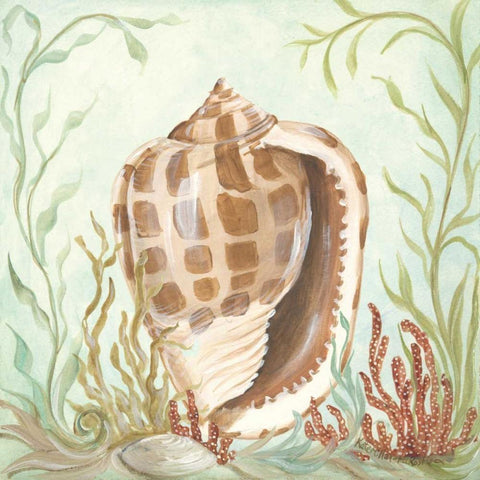 Seashells and Coral I White Modern Wood Framed Art Print with Double Matting by McRostie, Kate