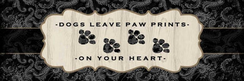 Top Dog Sign I Black Ornate Wood Framed Art Print with Double Matting by McRostie, Kate