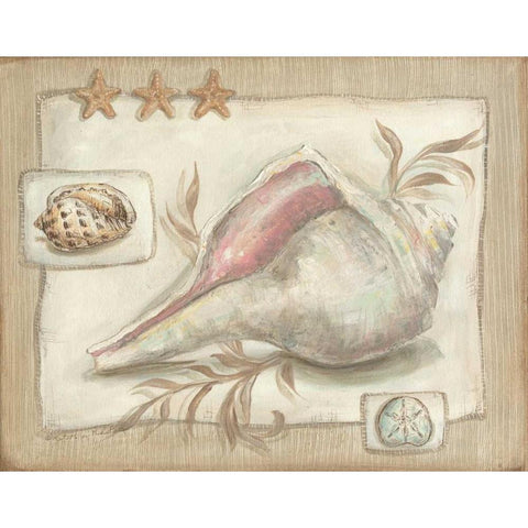 Sandy Shells II White Modern Wood Framed Art Print by McRostie, Kate