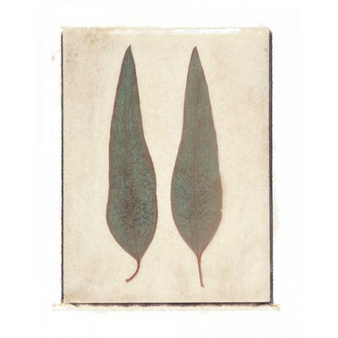 Two Leaves Black Modern Wood Framed Art Print with Double Matting by Melious, Amy