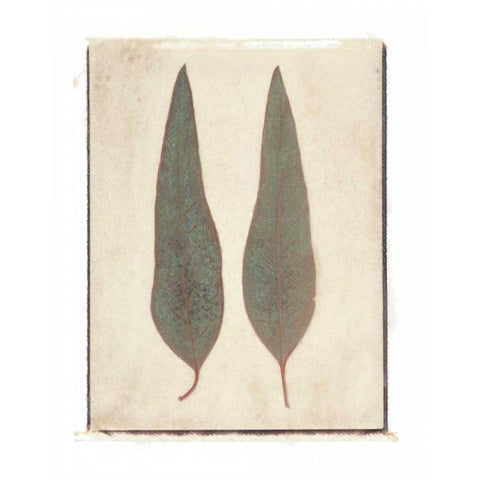 Two Leaves Black Modern Wood Framed Art Print by Melious, Amy