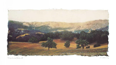 Vineyard and Oak II White Modern Wood Framed Art Print with Double Matting by Melious, Amy