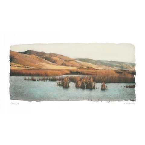 Estuary II Gold Ornate Wood Framed Art Print with Double Matting by Melious, Amy