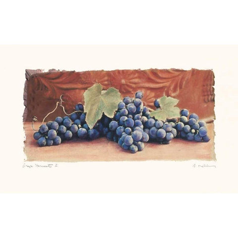 Grape Harvest I Black Modern Wood Framed Art Print with Double Matting by Melious, Amy